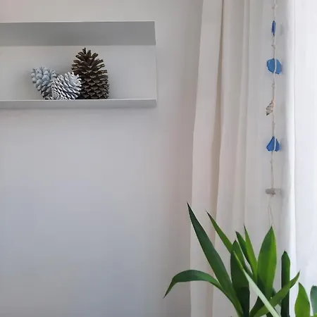 Sitius 5b - New Seaview With Rooftop Terrace In Historical Centre Sitio Da ナザレ