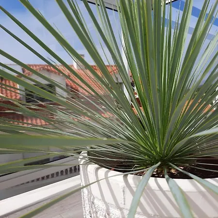 Sitius 5b - New Seaview With Rooftop Terrace In Historical Centre Sitio Da Apartmán