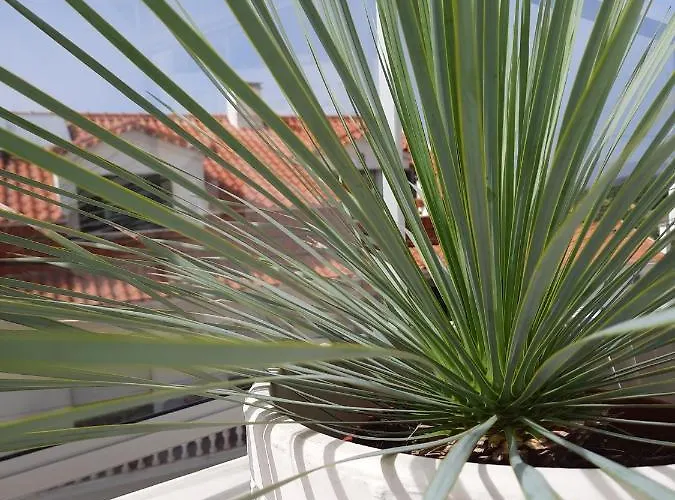 Sitius 5b - New Seaview With Rooftop Terrace In Historical Centre Sitio Da Daire